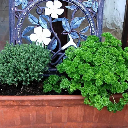 Σπίτι διακοπών Tranquil In Normandy