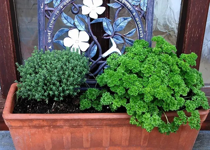 Tatil Evi Tranquil In Normandy